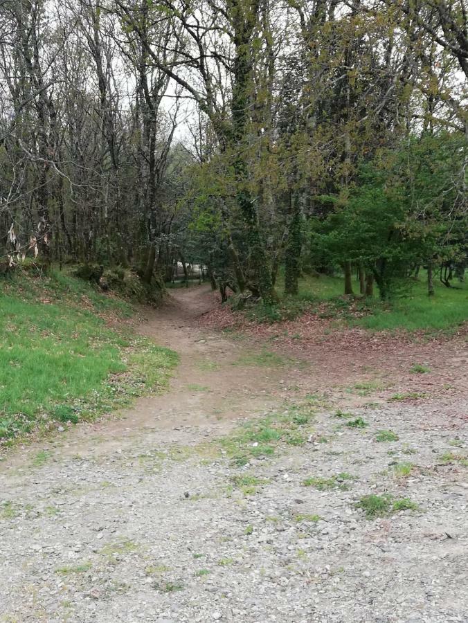 Apartamento Sigueeiro Camino Ingles Sigueiro Luaran gambar