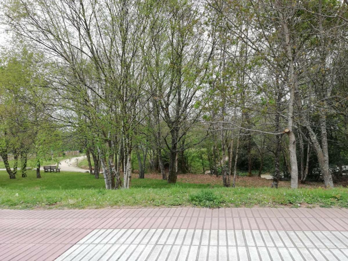 Apartamento Sigueeiro Camino Ingles Sigueiro Luaran gambar